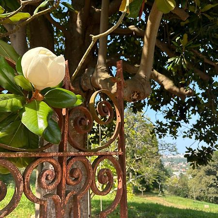 לינה וארוחת בוקר Gelos Domaine De La Tisnere מראה חיצוני תמונה