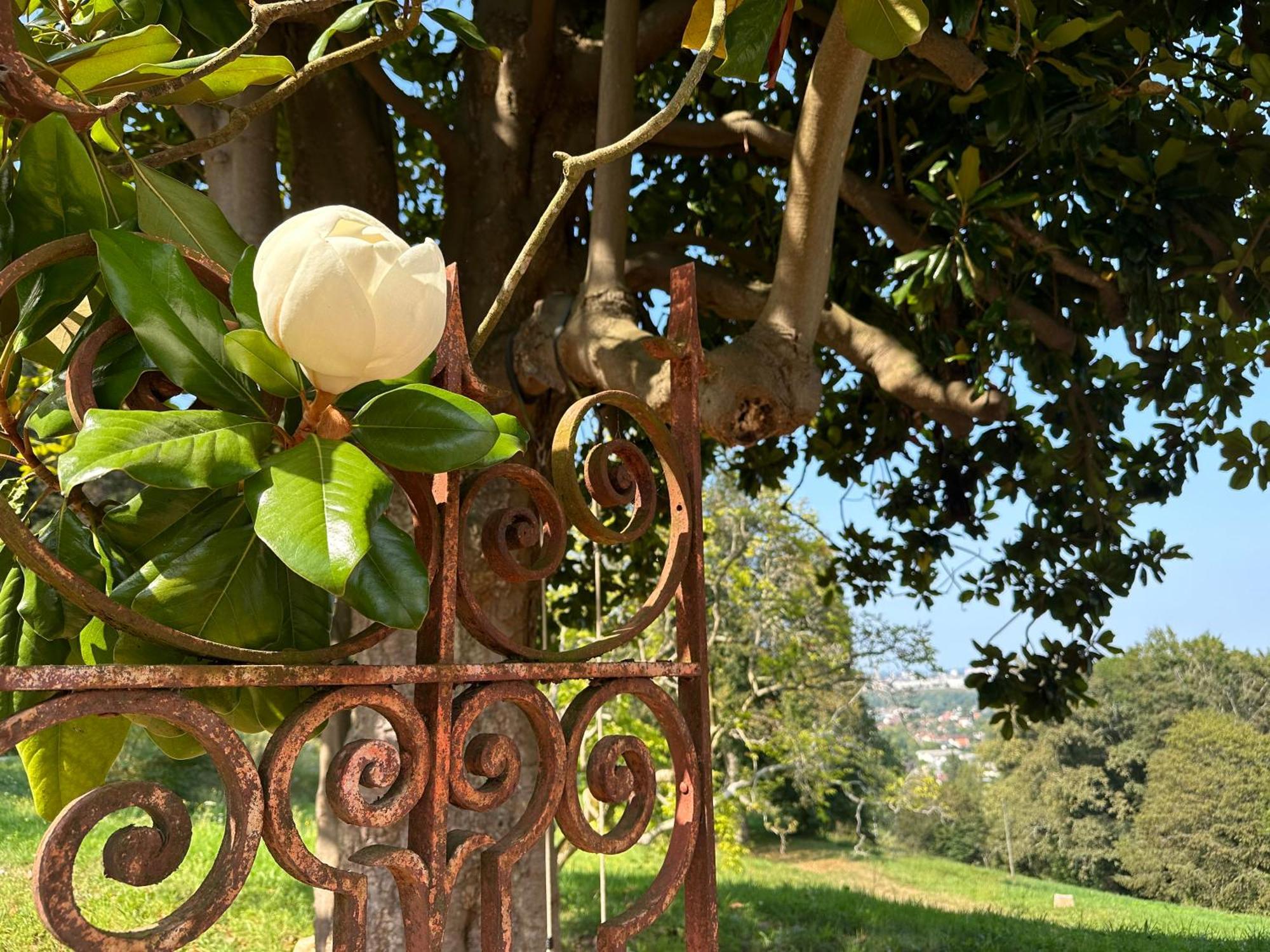 לינה וארוחת בוקר Gelos Domaine De La Tisnere מראה חיצוני תמונה