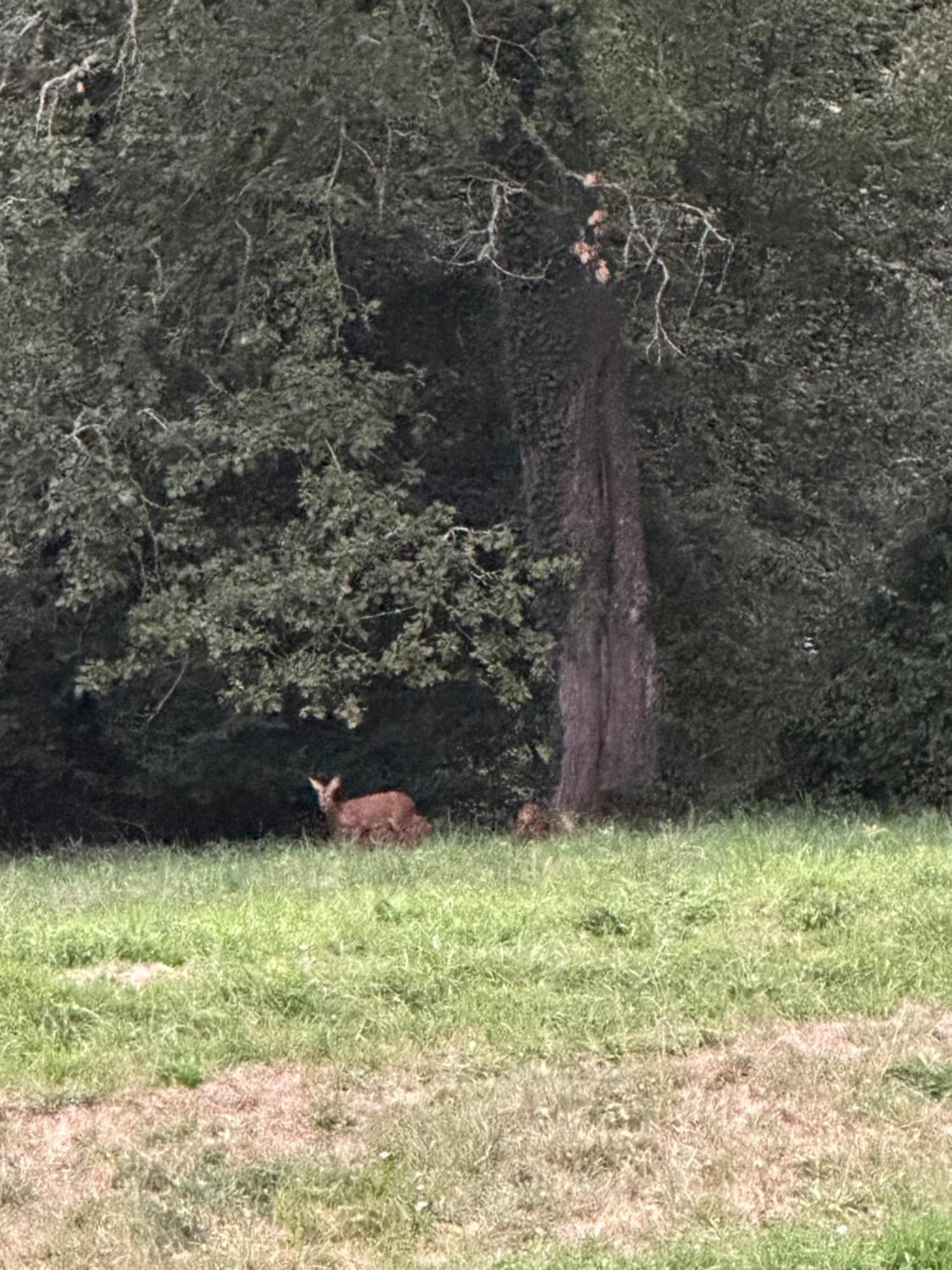 לינה וארוחת בוקר Gelos Domaine De La Tisnere מראה חיצוני תמונה